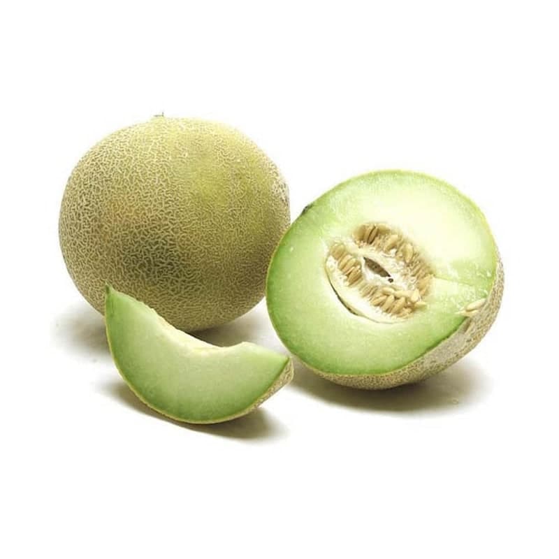 Sweet melons