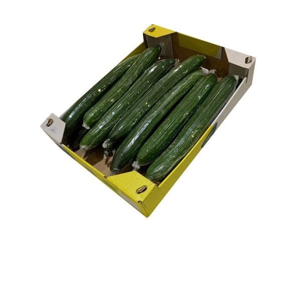 English cucumber
