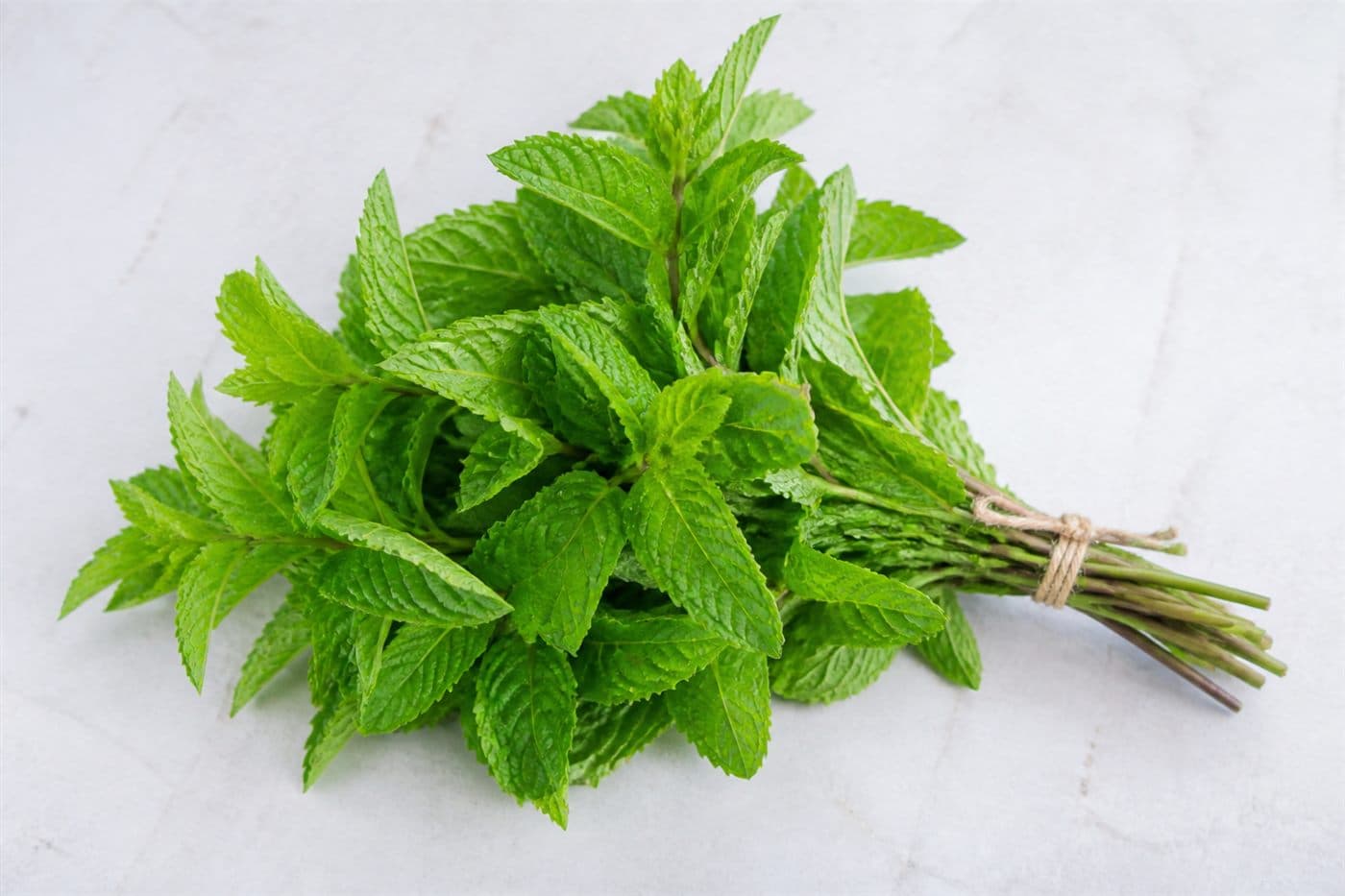 Mint