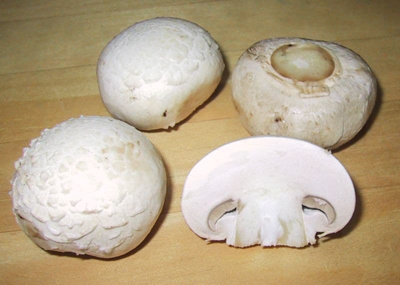 Mushrooms