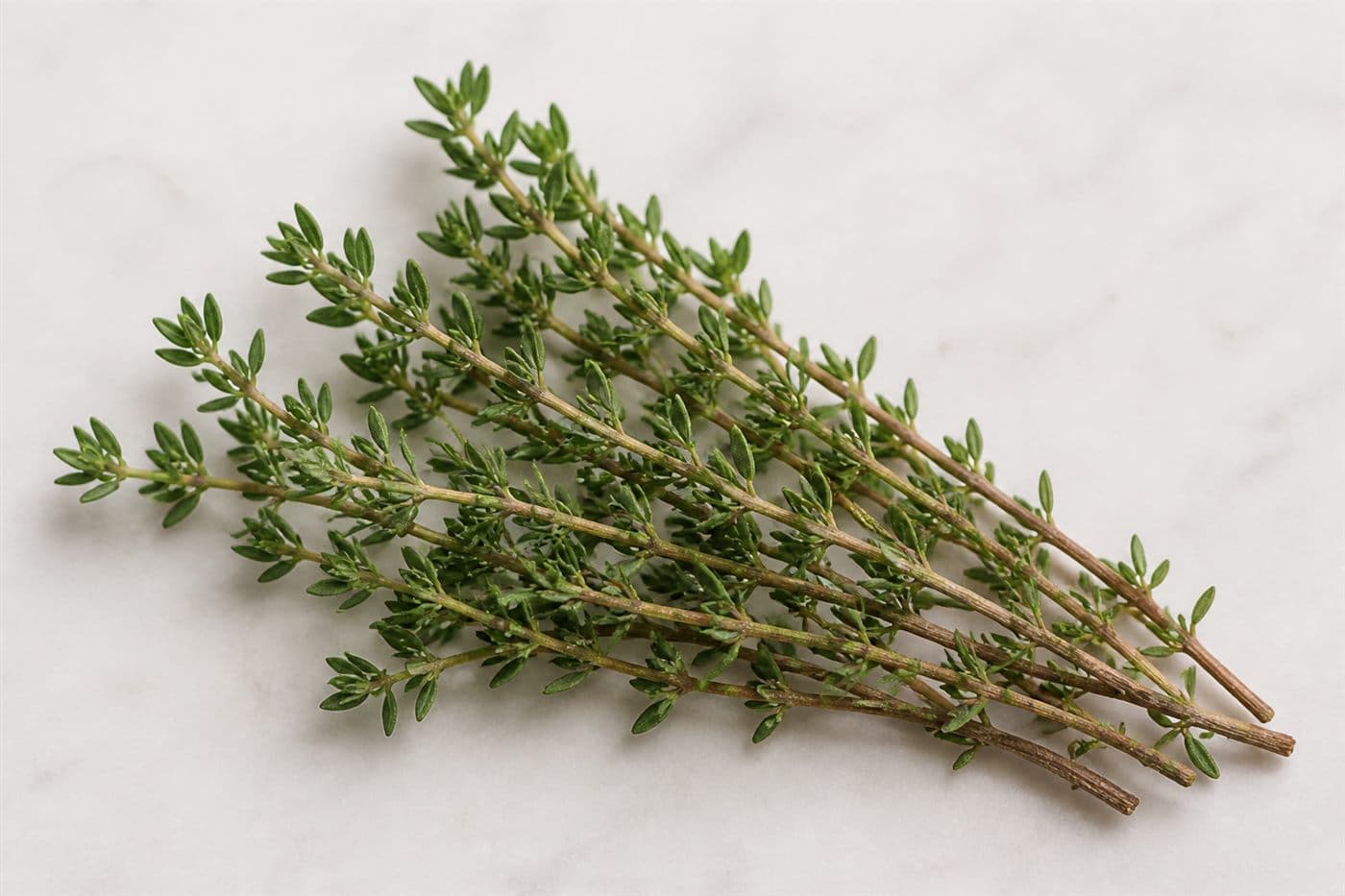 Thyme